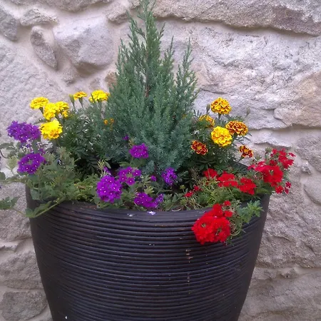 Apartamento Casa Noelmar *