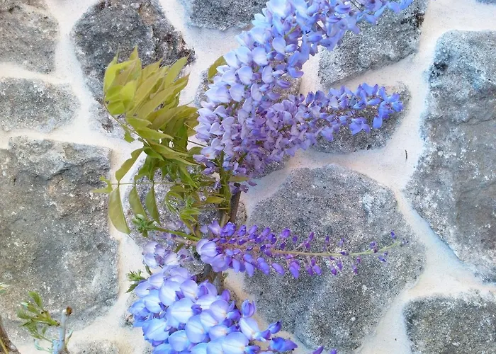 Casa Noelmar Διαμέρισμα Combarro