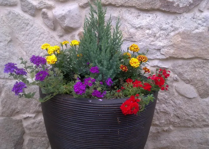 Διαμέρισμα Casa Noelmar *